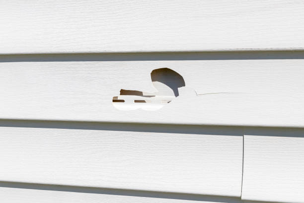 Custom Trim and Detailing for Siding in Riverdale, CA